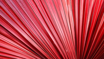striped of red coral color palm leaf abstract texture