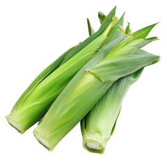 Fresh green leeks stacked together. transparent background