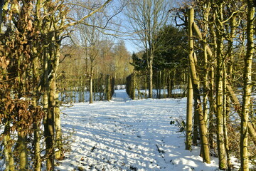 Arrivée d'un chemin adjacent aux allées principales près du Pavillon des Sept Étoiles ,sous la...