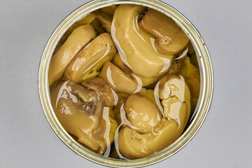 very colorful mushrooms or champignons, in a zenithal or top shot with a gray background, concentrated product
