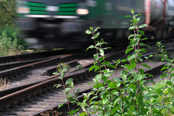 Lok mit Güterzug überfährt Weiche auf freier Strecke mit hoher Geschwindigkeit - Stockfoto