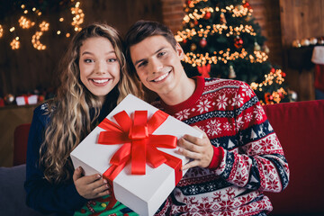 Photo of lovely young couple cheerful hold present box dressed christmas outfit day light home party decoration interior room