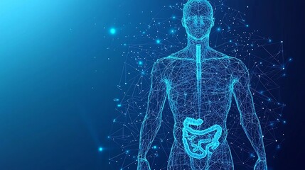 High tech abstract digital human body in a wireframe design glowing with low poly geometric patterns  A futuristic anatomy model set against a vivid blue background