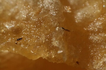 Macro close up of potato chips