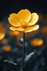 Vibrant Yellow Flower Blooming in the Dark