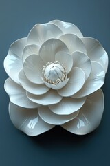 Captivating Camellia: A Delicate Flower's Allure