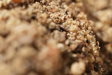 Macro close up of ground pepper