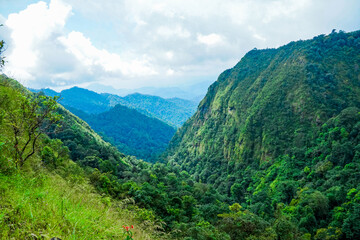 Breathtaking mountain view lush green forest nature landscape vibrant environment panoramic perspective scenic beauty for relaxation