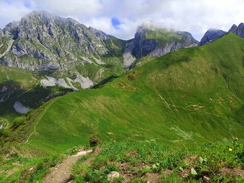 Alpine meadow in spring in Chablais region in Haute Savoie, France, near dent d oche. Alps mountain landscape