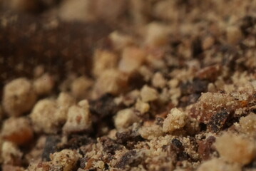 Macro close up of ground pepper