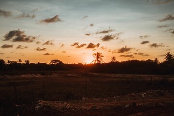 Sunset over Rural Landscape with Palm Trees