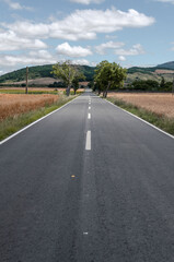 A long, straight road stretches into the horizon, flanked by golden fields of wheat. A few lone trees stand tall in the distance, providing a sense of scale and perspective. 