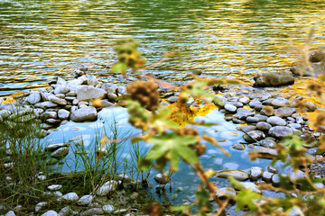 Riverside. Una masa de agua con rocas y plantas en primer plano. El agua es verde y tiene una superficie reflectante.