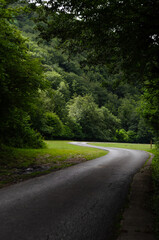 A winding asphalt road curves through a lush, green forest. Overhanging trees create a canopy, casting dappled sunlight on the path ahead.