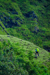 Hiking adventure mountainous terrain nature exploration green landscape close-up perspective outdoor experience