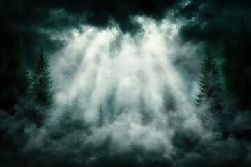 Fototapeta premium a dark forest with trees in the foreground and a cloudy sky in the background The trees are silhouetted against the dark sky, creating a mysterious and ethereal at