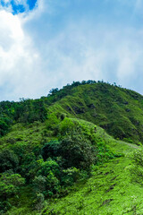 Exploring lush green hills mountain range natural landscape scenic view vibrant environment adventure and nature experience
