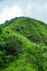 Hiking adventure on lush green hills scenic landscape nature exploration outdoors wide angle view serenity of nature