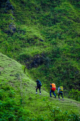 Adventurous hikers ascend lush green hills nature landscape outdoor exploration scenic viewpoint outdoor adventure