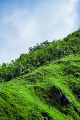 Adventurous hiking expedition scenic mountain range outdoor activity lush greenery elevated perspective nature exploration
