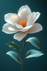 Fototapeta premium Captivating Magnolia Blossom on a Serene Teal Background