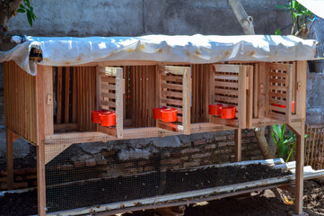 A wooden chicken coop with multiple compartments and red feeders, located at the edge of a sunny backyard. The structure showcases detailed craftsmanship and functionality. © agratitudesign