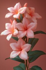 Fototapeta premium Vibrant Plumeria Flowers Blooming on a Warm Coral Background