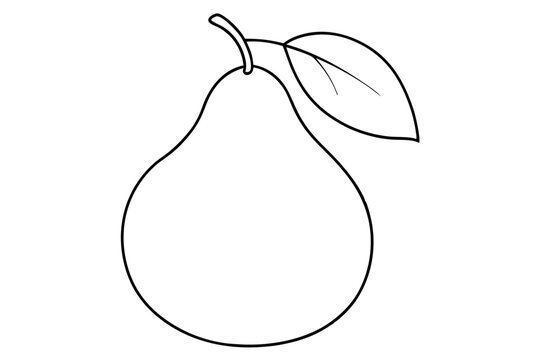 recommend clip art: Pear fruit outline vector, Pear line art vector illustration
