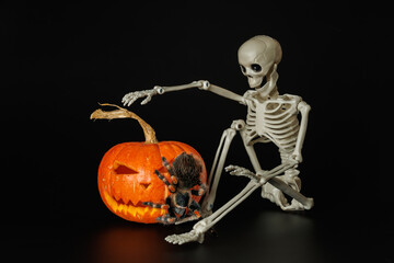 Tarantula on pumpkin. Spider isolated on black background. Skeleton and animal. Halloween holiday concept