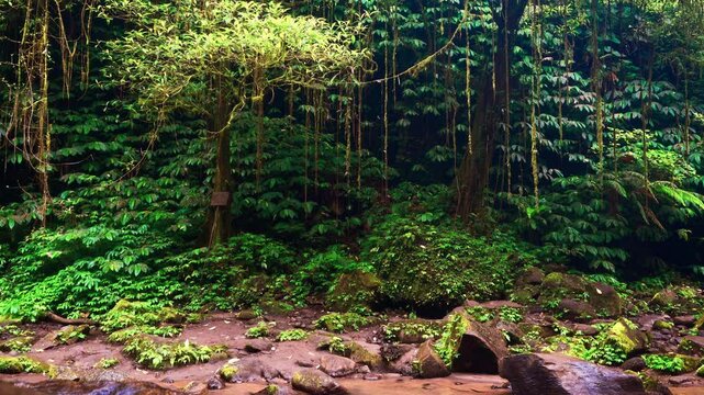 Bali waterfall Air Terjun Nungnung breathtaking 50-meter waterfall Bali's lush highlands. One of the most popular travel destinations Bali, Indonesia 4K
