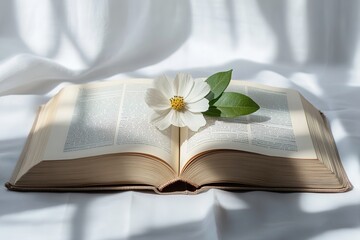 Open book with a white flower and sunlight shadows