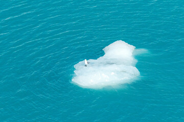 Naklejka premium Climate change affecting glaciers in Alaska and around the world. Evidence of receding ice is clear in these photographs