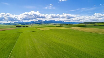 Sustainable energy and buildings. Aerial view of vibrant green fields under a blue sky with fluffy clouds and distant mountains, showcasing a serene rural landscape.