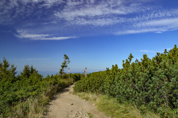 Obraz premium picturesque and wonderful views on the way to Pilsko in the Beskid Mountains