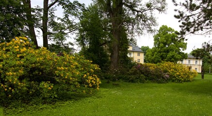 View of the spa park full of flowers Konstantinovy ​​lazne (konstantinsbad) czech republic Europe