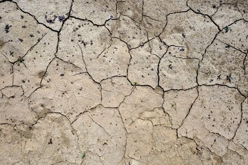 Closeup shot of cracked ground due to drought, showcasing clear rugged details