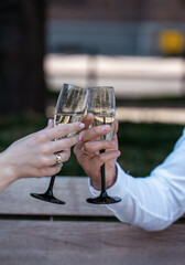 person holding a cup of Champagne