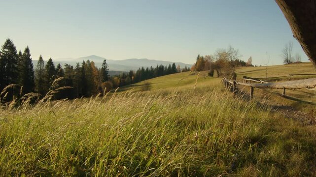 Meadow beautifully lighten up by the golden hour of the evening with mountains on the horizon. Brown and dark greens of Polish temperate mixed forest in autumn. High quality 4k footage