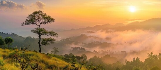 Mountain Sunrise with Fog Over Trees and Grass