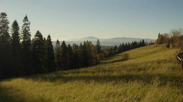 Meadow beautifully lighten up by the golden hour of the evening with mountains on the horizon. Brown and dark greens of Polish temperate mixed forest in autumn. High quality 4k footage