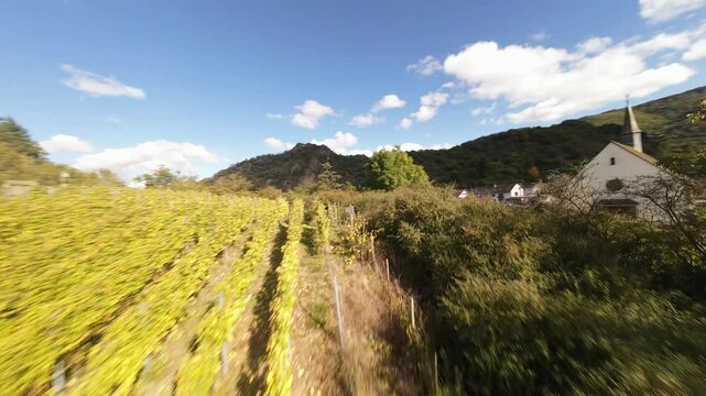 Vineyards in the ahr valley in Germany. Aerial fpv drone video.