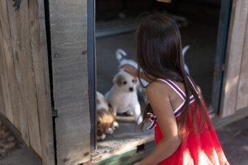 Heartwarming Encounter: A Child Befriends Homeless Pups