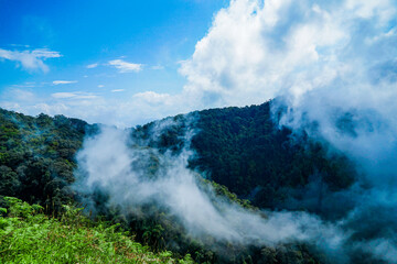 Obraz premium Exploring the majestic mountains cloud forest nature photography lush landscape scenic viewpoint adventure and serenity