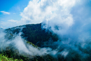 Misty mountain landscape tropical forest nature photography cloudy environment elevated viewpoint serenity concept for seo impact