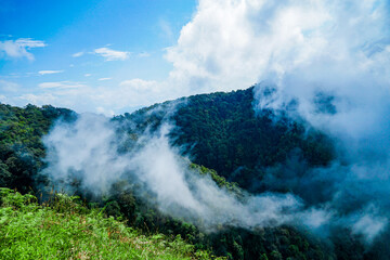 Majestic mountain fog dance tropical rainforest nature photography serene landscape aerial view harmony of elements