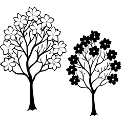 Obraz premium nature