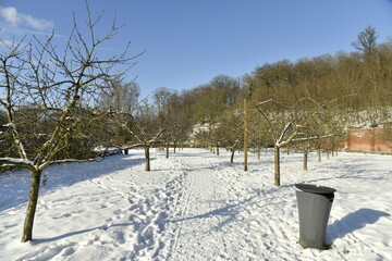 Le jardin de l'abbaye du Rouge-Cloître sous la neige à Auderghem (Bruxelles) 