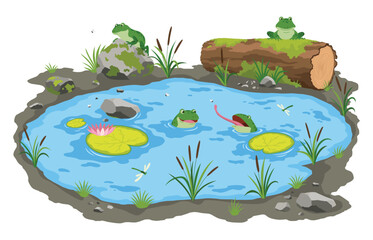 Picturesque natural pond. Blue water pond with reeds and stones. Concept of outdoor scene, open small swamp lake. Countryside landscape vector cartoon illustration