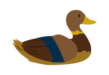 Cartoon pond bird, duck. Cute duck with brown head. Vector illustration isolated on white background