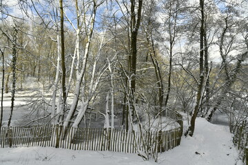 Les arbres surplombant les eaux gelées du grand étang des Clabots en forêt de Soignes à Auderghem (Bruxelles) 